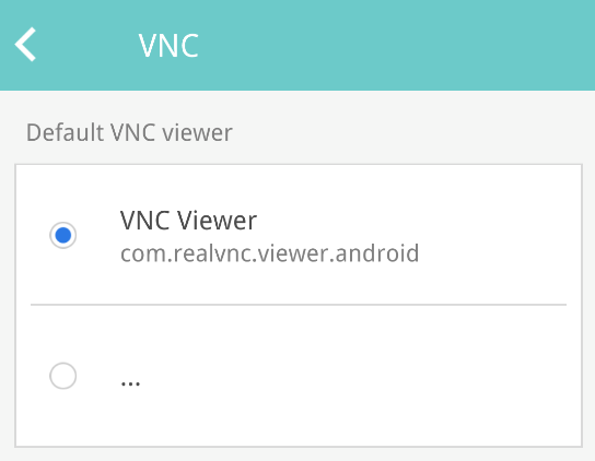 setting up vnc viewer